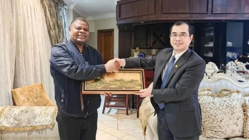 Qiao Xubin, President of  Energy China International Meets with South Africa’s Deputy Minister of Water and Sanitation David Mahlobo