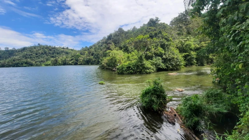 CEEC Vence Licitação para Usina Hidrelétrica Poiga 2 na Indonésia