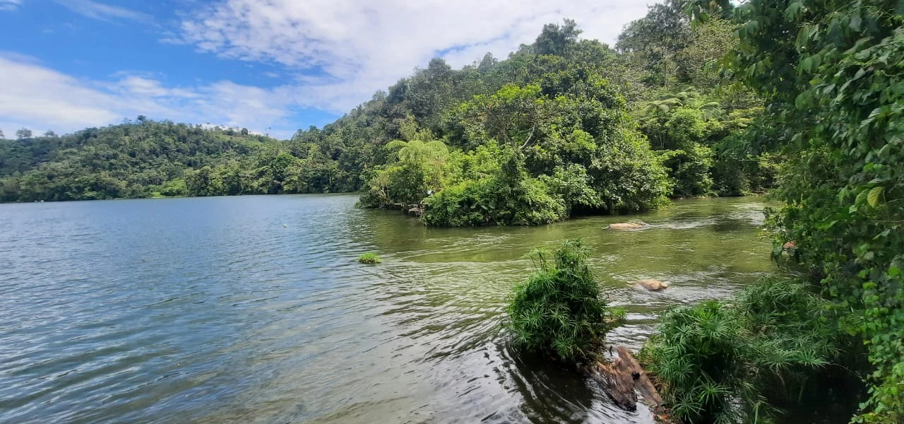 CEEC Wins Bid for Poiga 2 Hydropower Station in Indonesia